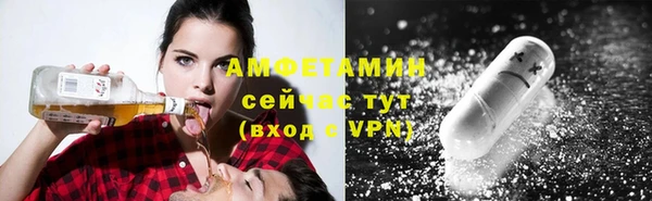прущие грибы Алзамай