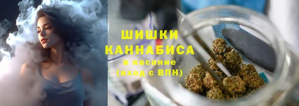 крисы Арсеньев